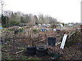 Allotments behind Pudsey cemetery