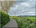 Woodhouse Lane near Richards Castle