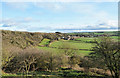 Wooded slope below Sherburn Hill