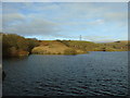 Rain Shore and Naden Wood