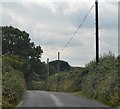 S9881 : Minor road, County Carlow by N Chadwick