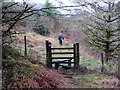 Llwybr i Heol Ffordd-dwm / Path to Forch-dwm Road