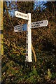 Old Direction Sign - Signpost by Chapel Hill, Cuckmere Valley Parish