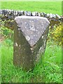 Old Milestone by the A9, north of Evelix Bridge, Dornoch Parish