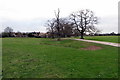 Footpath towards the canal