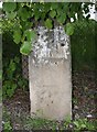 Old Milestone by the A488, Little Minsterley