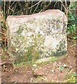 Old Boundary Marker by the B4027, Stow Wood, Beckley