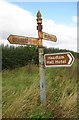 NZ1718 : Old Direction Sign - Signpost by Ford Dike Lane, Headlam by Milestone Society