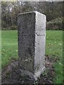 Old Guide Stone by the A70, Coalhall