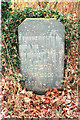 Old Milestone by the B4354, east of the A497 junction