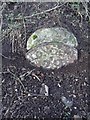 Old Milestone by the B1368, Hay Street, Braughing