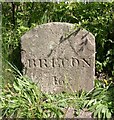 Old Milestone by the B4520, south of Builth Wells/Llanfair-ym-Muallt