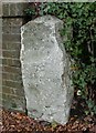 Old Milestone by the A337, near Buckland Rings, north of Lymington