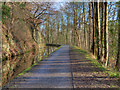 Shropshire Union (Llangollen) Canal