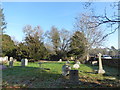 The Assumption of Blessed Mary and St Nicholas, Etchingham: a frosty churchyard