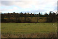 Farmland at Dalmellington