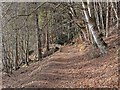 Path from Kilmuir to North Kessock