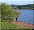 SN8229 : North shoreline of the Usk Reservoir by Mat Fascione