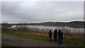 SP2098 : Fisher's Mill Pool, RSPB Middleton Lakes nature reserve by Phil Champion
