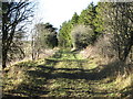 Bridleway in Eppleby parish