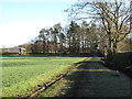 Bridleway approaching Low Chapel House