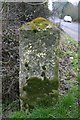 Old Milestone by the A337, south of Brockenhurst Bridge