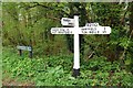 Old Direction Sign - Signpost by the B2110, Shepherds Hill, Hartfield Parish