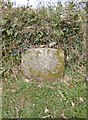 Old Boundary Marker by the B3362, Tuelldown crossroads