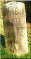 Old Milestone by the track to Bonhams Farm, east of Holybourne