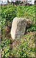 Old Milestone by the A381, west of West Alvington