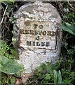 Old Milestone south east of Venn