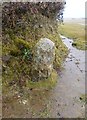 Old Boundary Marker on Plaster Down, Whitchurch Parish