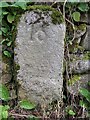 Old Milestone by the A710, Caulkerbush