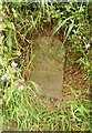 Old Milestone north of Sandford