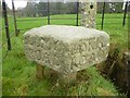 Old Guide Stone in grounds of Trebartha Hall