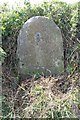 Old Milestone by the A495, Welsh Frankton