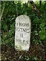 Old Milestone by the B3205, Kingswear Parish