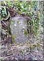 Old Milestone south east of Swimbridge