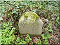 Old Boundary Marker at Harnham Hill, Netherhampton Parish