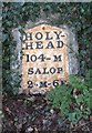 SJ4514 : Old Milestone by the B4380, north of Oxon Hall by A Reade/J Higgins