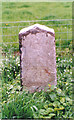 Old Milestone by the A470, Brynderwen, Caersws Parish