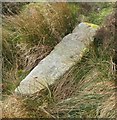 SE1345 : Old Boundary Marker on Ilkley Moor by Milestone Society