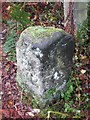 SE4790 : Old Boundary Marker by Black Hill, Cowesby Parish by Milestone Society