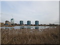 East Reservoir at Woodberry Wetlands