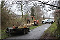 Tree thinning NCR 492, Griffithstown