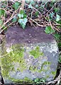 Boundary Stone