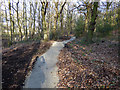 SE2929 : MTB trail in Middleton Woods (2) by Stephen Craven
