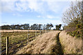 Path north of cemetery at Quarrington Hill