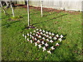 Holy Trinity, Hurst Green: crosses in the churchyard