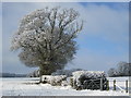 A wintry Chiltern Way near to Brentford Grange Farm